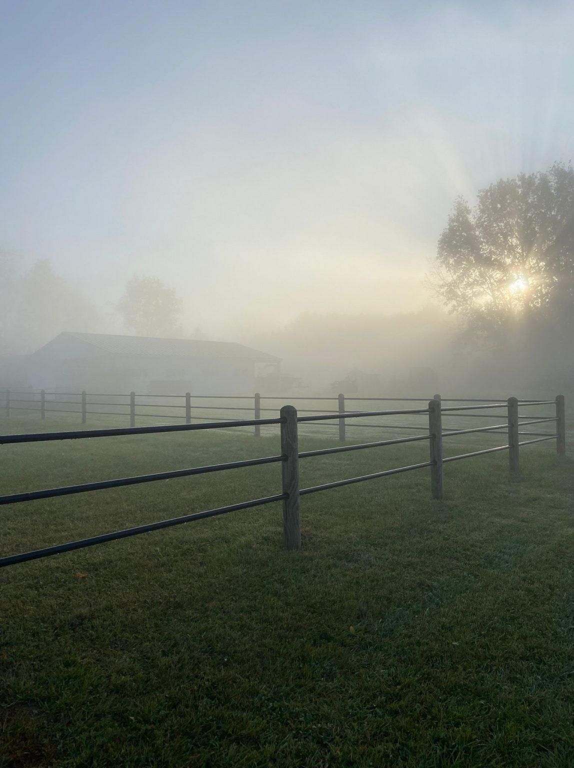 event_farm_fog